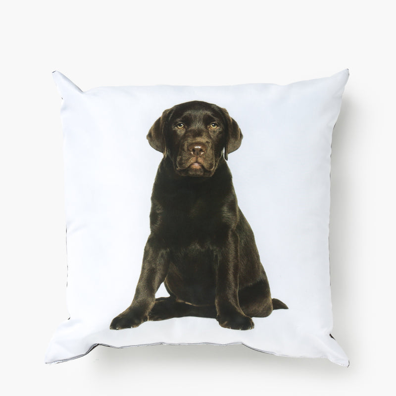 16" x 16" Labrador Dog Pillow