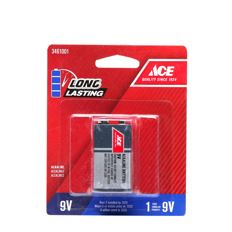 Ace Hardware 9V Battery