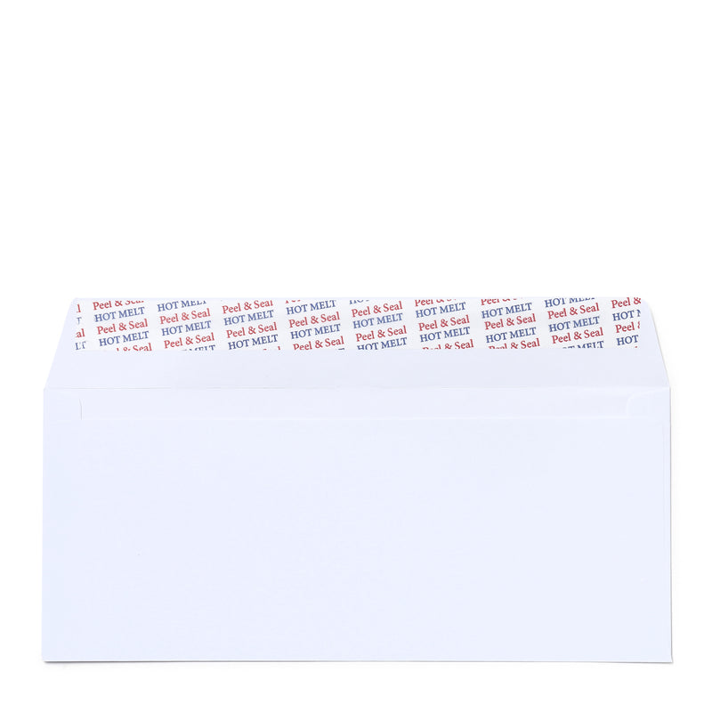 Transworld White Envelope No. 10 10pcs