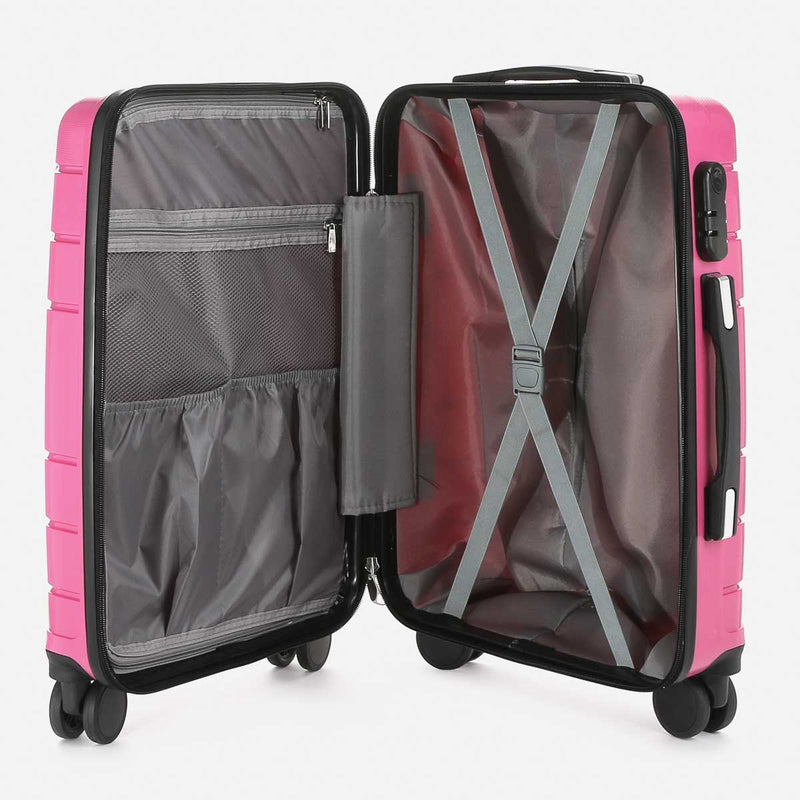 Travel Basic Drui 20-Inch Small Hard Case Luggage in Rose