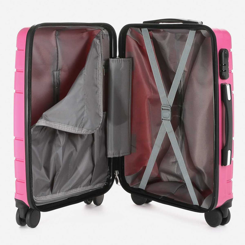 Travel Basic Drui 20-Inch Small Hard Case Luggage in Rose