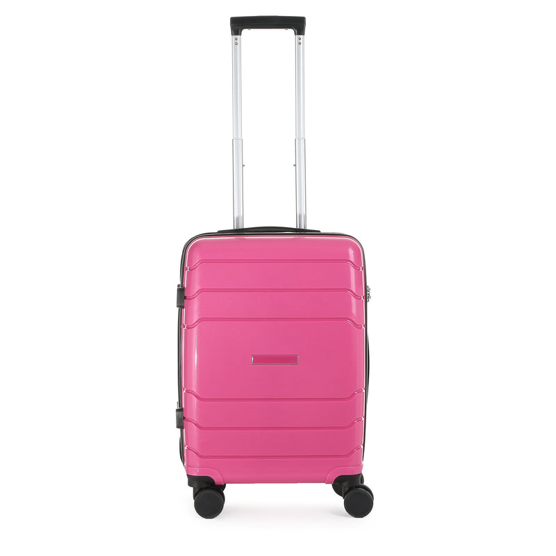 Travel Basic Drui 20-Inch Small Hard Case Luggage in Rose