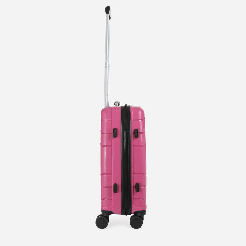 Travel Basic Drui 20-Inch Small Hard Case Luggage in Rose