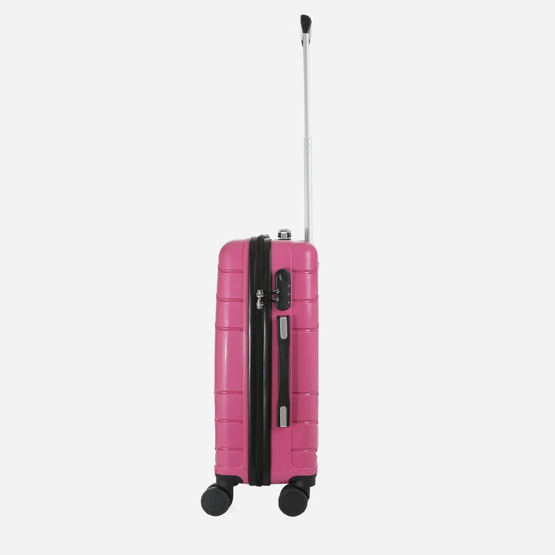 Travel Basic Drui 20-Inch Small Hard Case Luggage in Rose