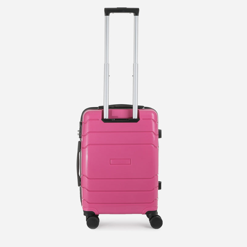 Travel Basic Drui 20-Inch Small Hard Case Luggage in Rose