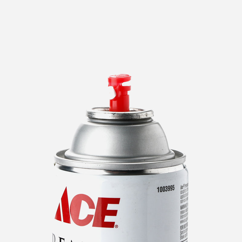 Ace Hardware Premium Enamel Spray Paint 340g _ Plum Gloss