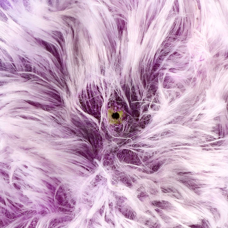 Toy Kingdom Fuzzy Ball _ Purple