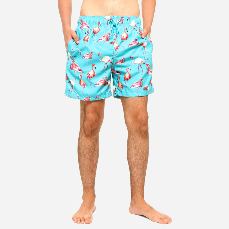 BOARDSHORT/TURQU/30/NODIM