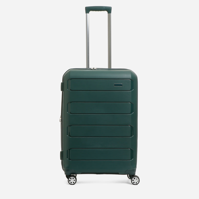 Travel Basic Bryna 24-Inch Hard Case Luggage in Green