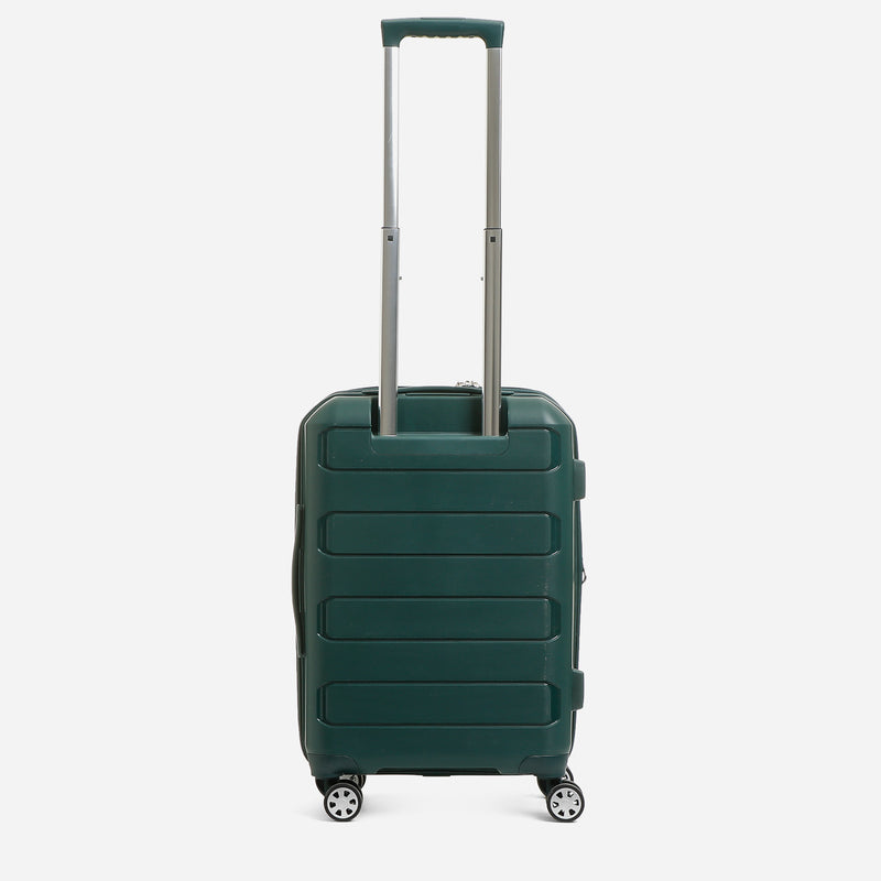 Travel Basic Bryna 20-Inch Hard Case Luggage in Green