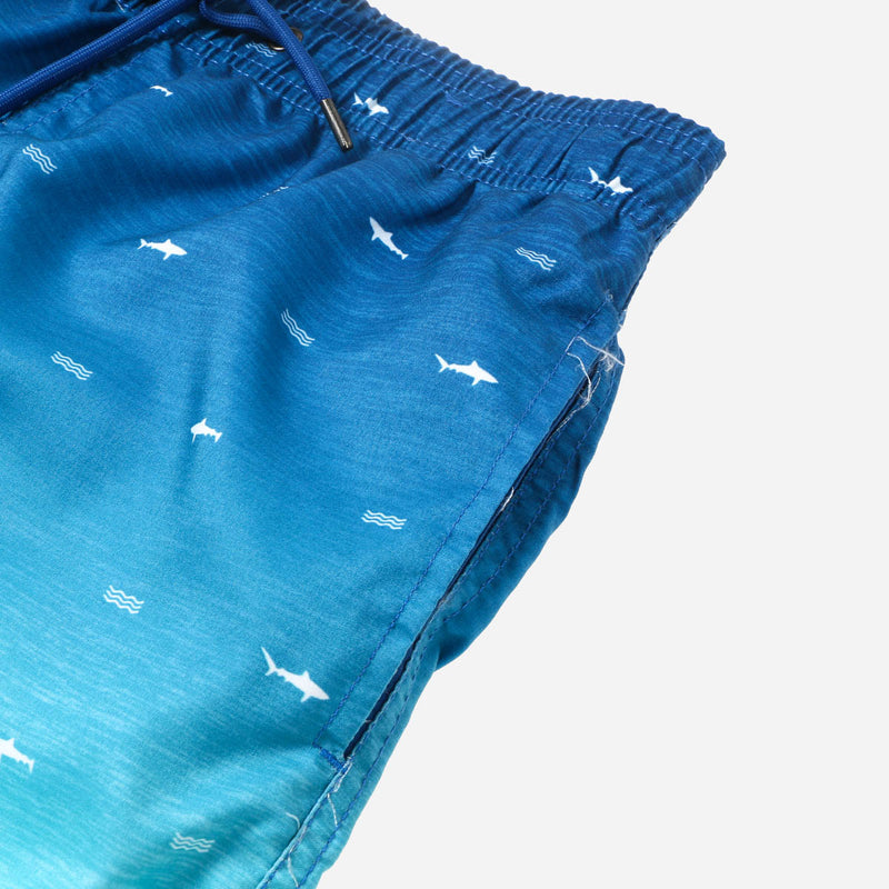 BOARDSHORT/TURQU/30/NODIM